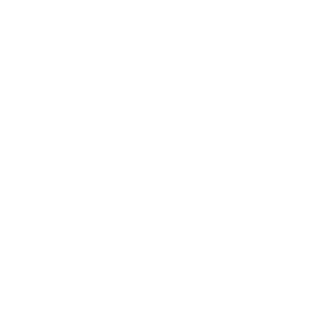 risk icon